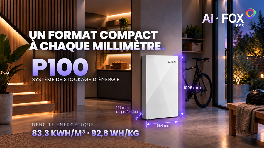 FoxESS P100: le cerveau IA derrière le numéro 1 européen du stockage d'énergie résidentiel