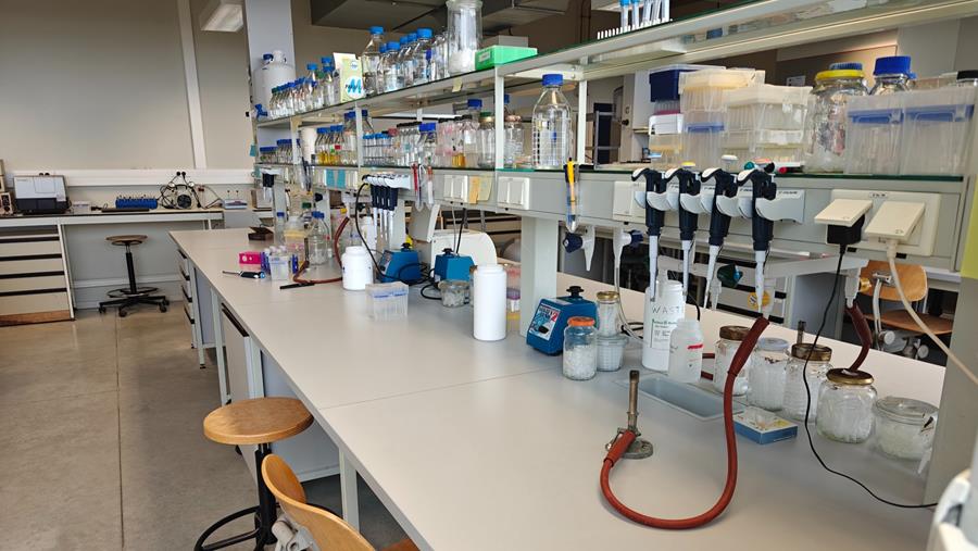 Goedkope bioplastics van micro-organisme, zeewater en afvalstromen