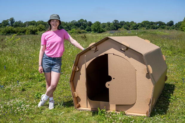 Festivaltip: kampeer eens in een kartonnen tent