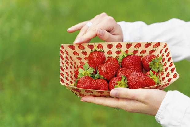 Hubergroup lanceert vellenoffset-inkt voor direct contact met voeding 