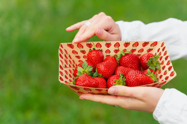 Hubergroup lanceert vellenoffset-inkt voor direct contact met voeding