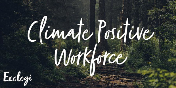 Hybrid Software Group schakelt Ecologi in voor koolstofcompensatie 