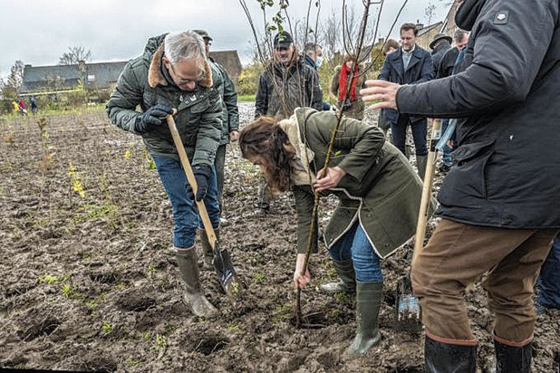 Roularta plant 15.000 bomen rond het bedrijf in Roeselare 