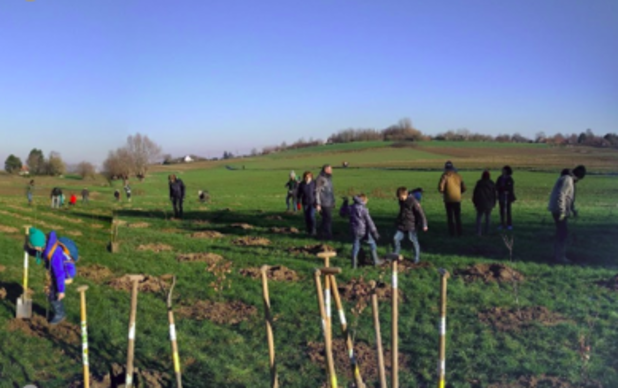 Roularta plant 15.000 bomen rond het bedrijf in Roeselare