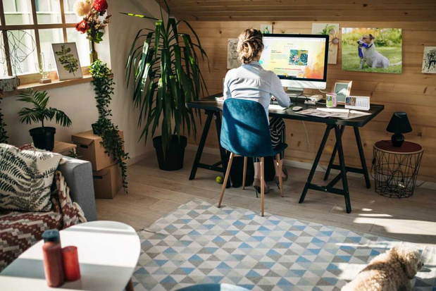 Vistaprint wordt Vista en neemt Depositphotos en Crello over