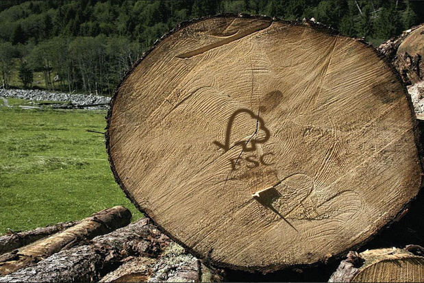 Geactualiseerde normen voor milieucertificaten 