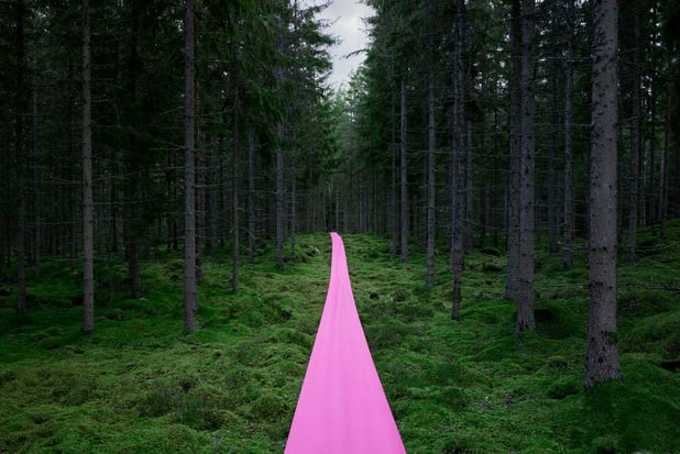 Lessebo Paper lance un papier coloré pour emballages de luxe 