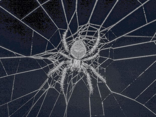 L'imprimeur grand format, comme l'araignée au centre de sa toile 