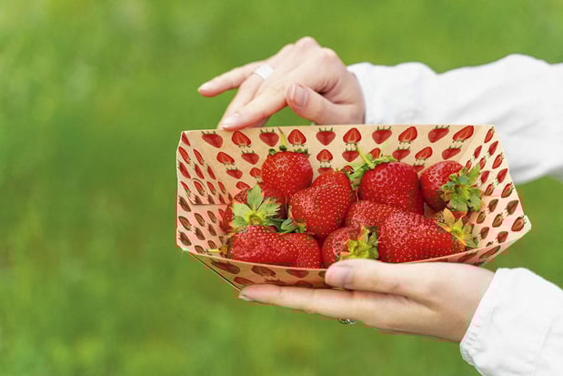 Hubergroup lance une encre offset feuille pour le contact direct avec les aliments 