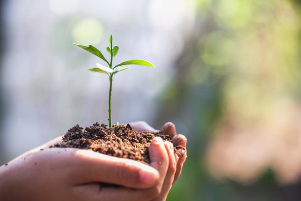 Les fournisseurs du secteur graphique sur la liste A du CDP