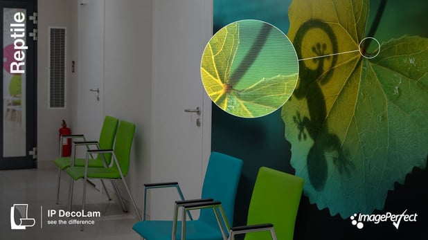 Spandex lance une nouvelle collection de films de pelliculage structurés 