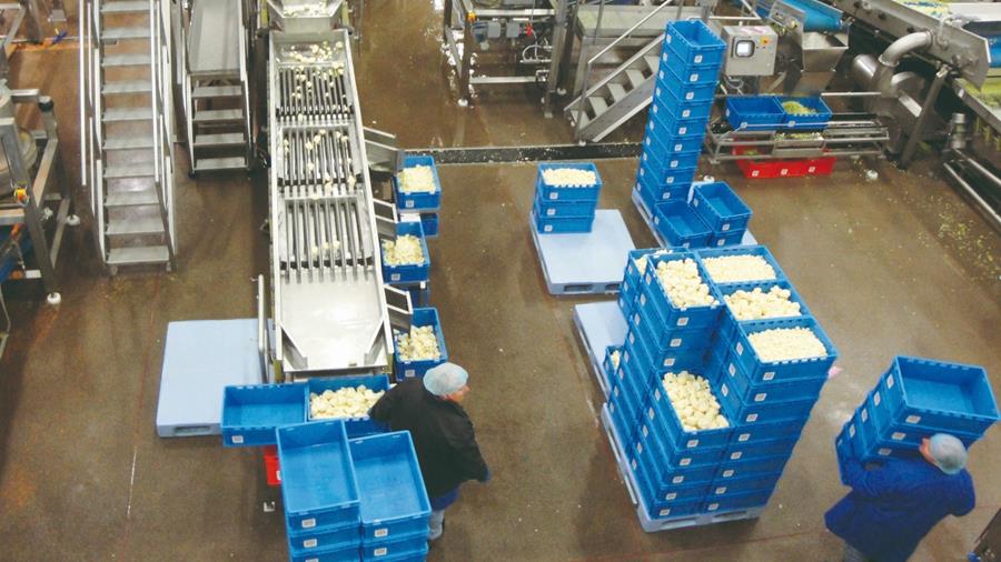 Des solutions logistiques innovantes pour l'industrie alimentaire